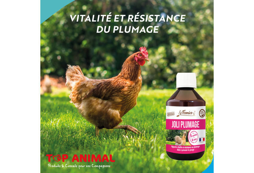 JOLI PLUMAGE ! 